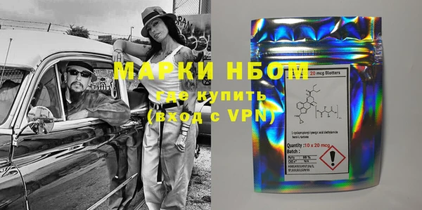 шишки Белоозёрский