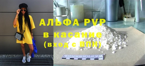 шишки Белоозёрский