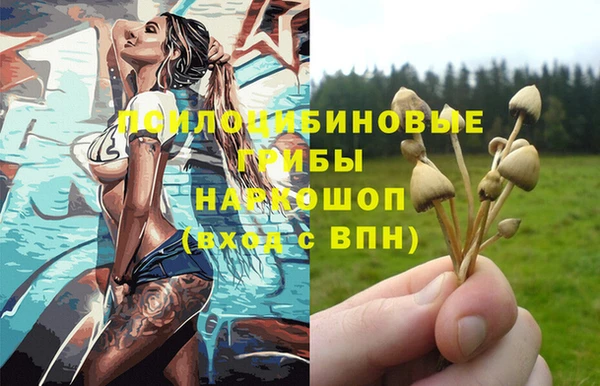шишки Белоозёрский
