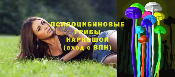 шишки Белоозёрский