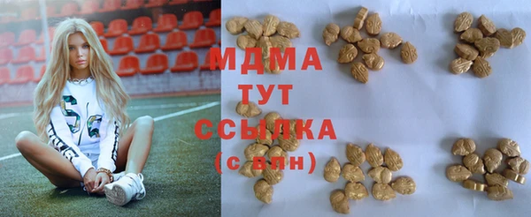 шишки Белоозёрский